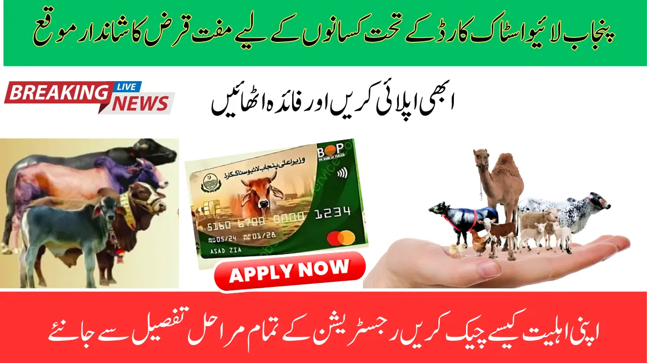 The Punjab Livestock Card Interested Free Loan For Farmers – Apply Now