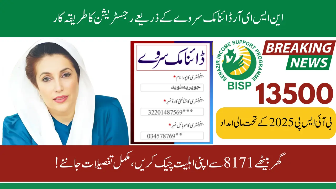 NSER Dynamic Survey Process To Register In BISP 2025